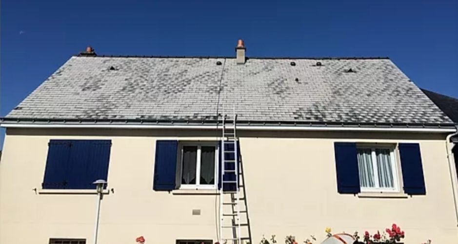 Toiture en ardoise couverte de mousses et de lichens, grise et tachée