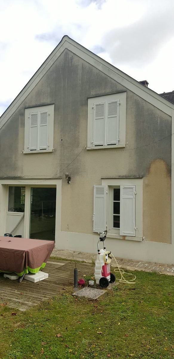 Façade grisée et verdie par les salissures avant nettoyage
